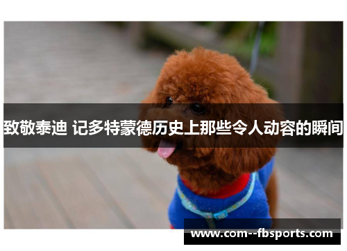 致敬泰迪 记多特蒙德历史上那些令人动容的瞬间